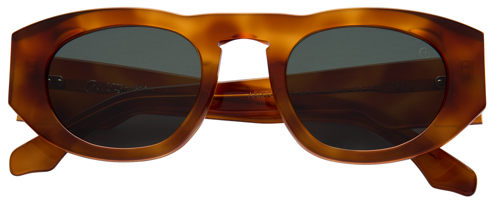 Giorgio Nannini Aristotele col.907