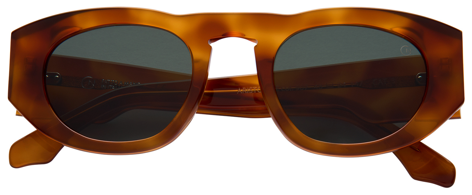 Giorgio Nannini Aristotele col.907