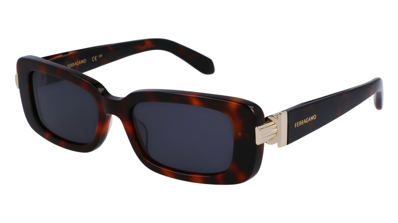 Ferragamo SF1105S Tartarugato
