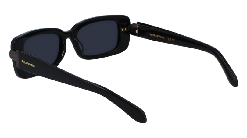 Ferragamo SF1105S