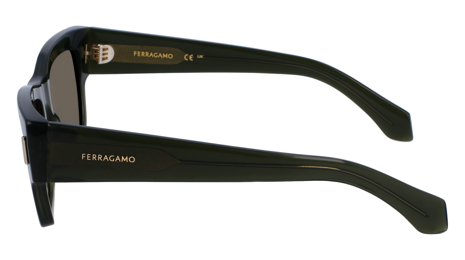 Ferragamo SF2011S 320